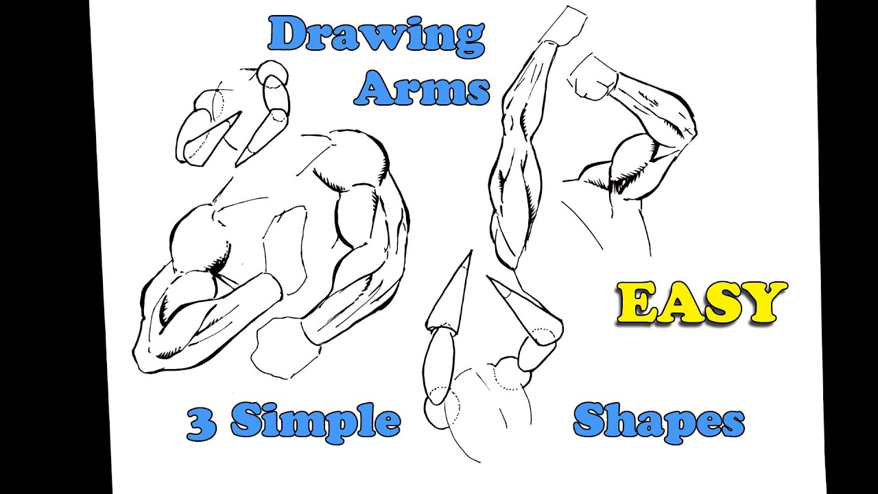 How to draw ARMS for the Beginner  EASY