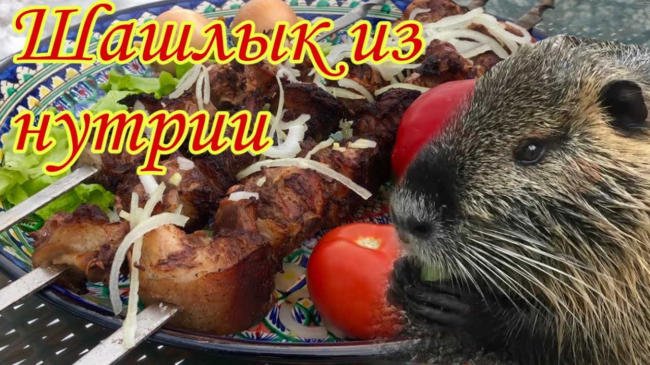 Шашлык из нутрии-нежнее мяса не пробовал #шашлык