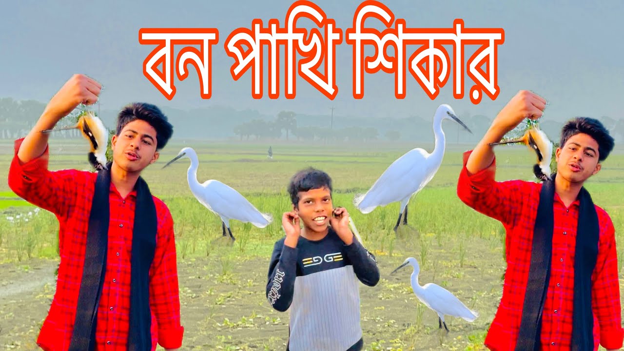 আমি কান দরছি আর তোমার সাথে পাঙ্গা নিব না 😱#😍#শিকারি #বক #বকপাখি #ঘুঘু #টিয়া #শালিক #শিকারি #জাহিদ