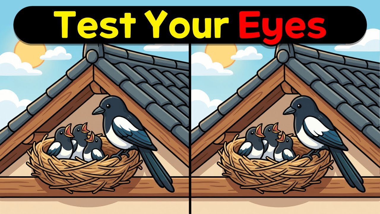 Spot The Difference : Test Your Eyes ( Find The Difference #15 )
