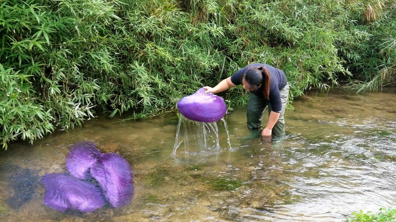 Amazing purple clams appear in the river, and the girl discovers a huge treasure trove of pearls