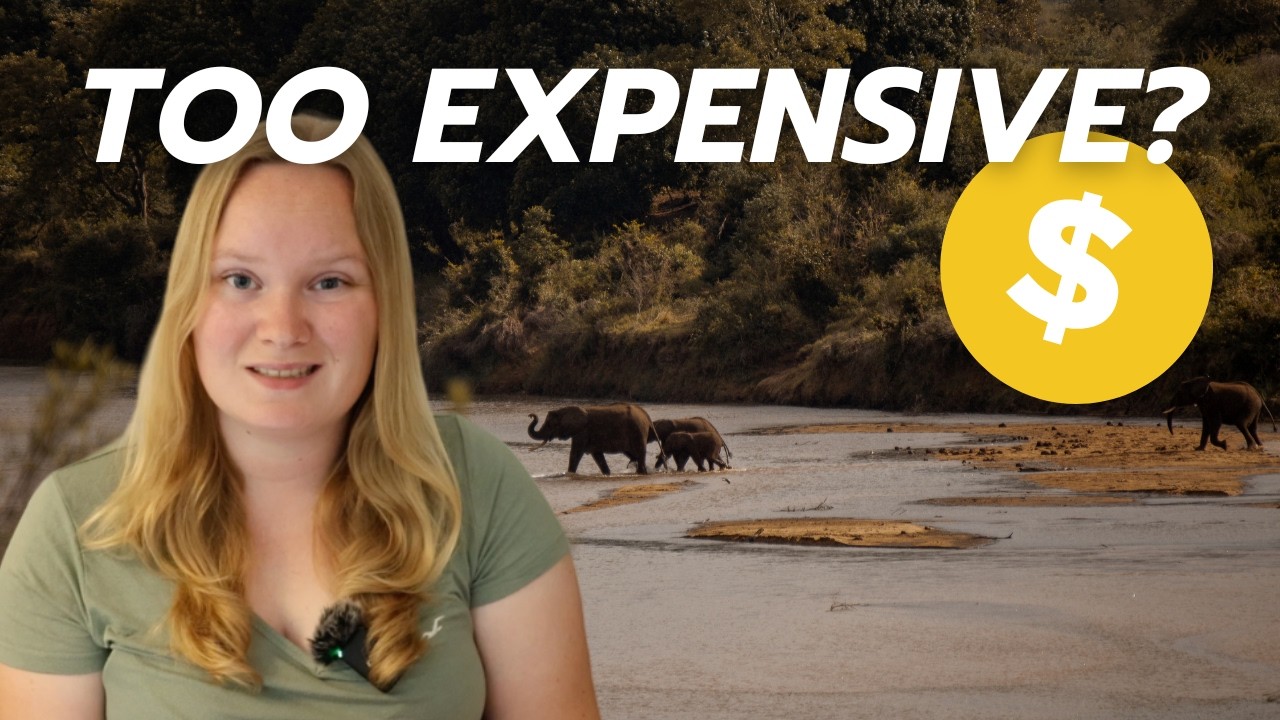The Cost of a Safari in Kruger National Park 2024
