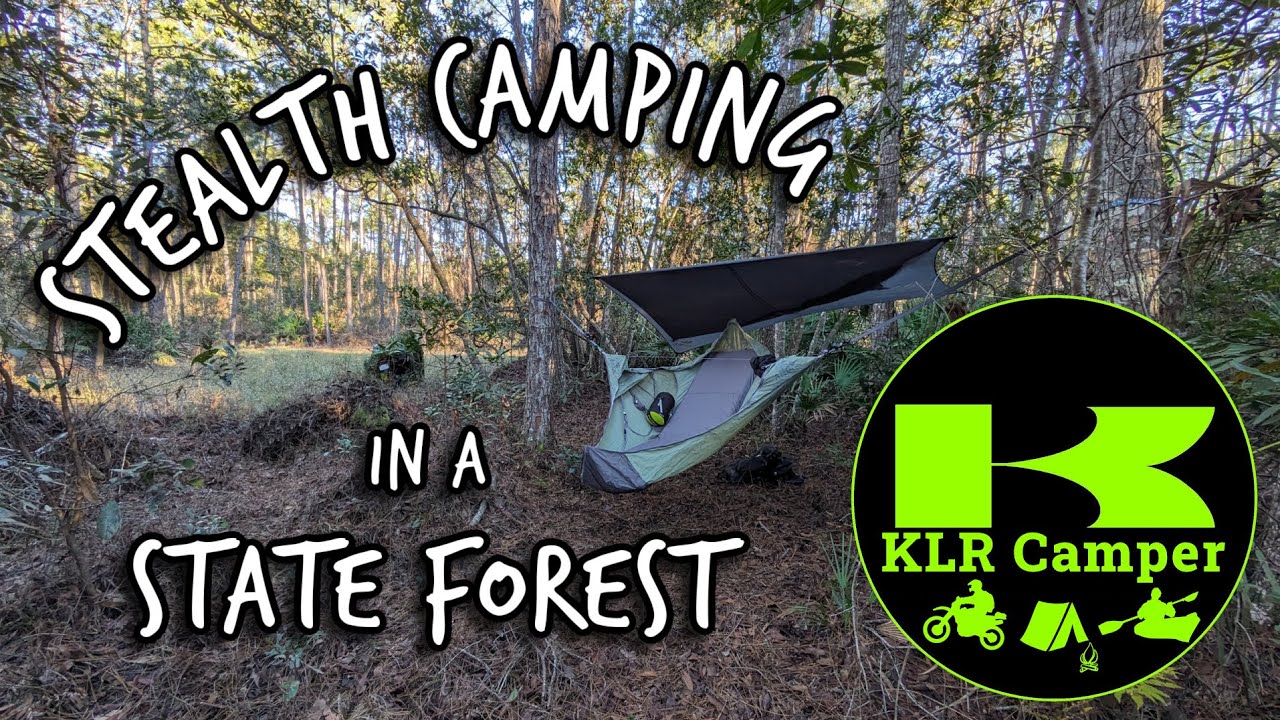 Stealth Camping in a State Forest | KLR650