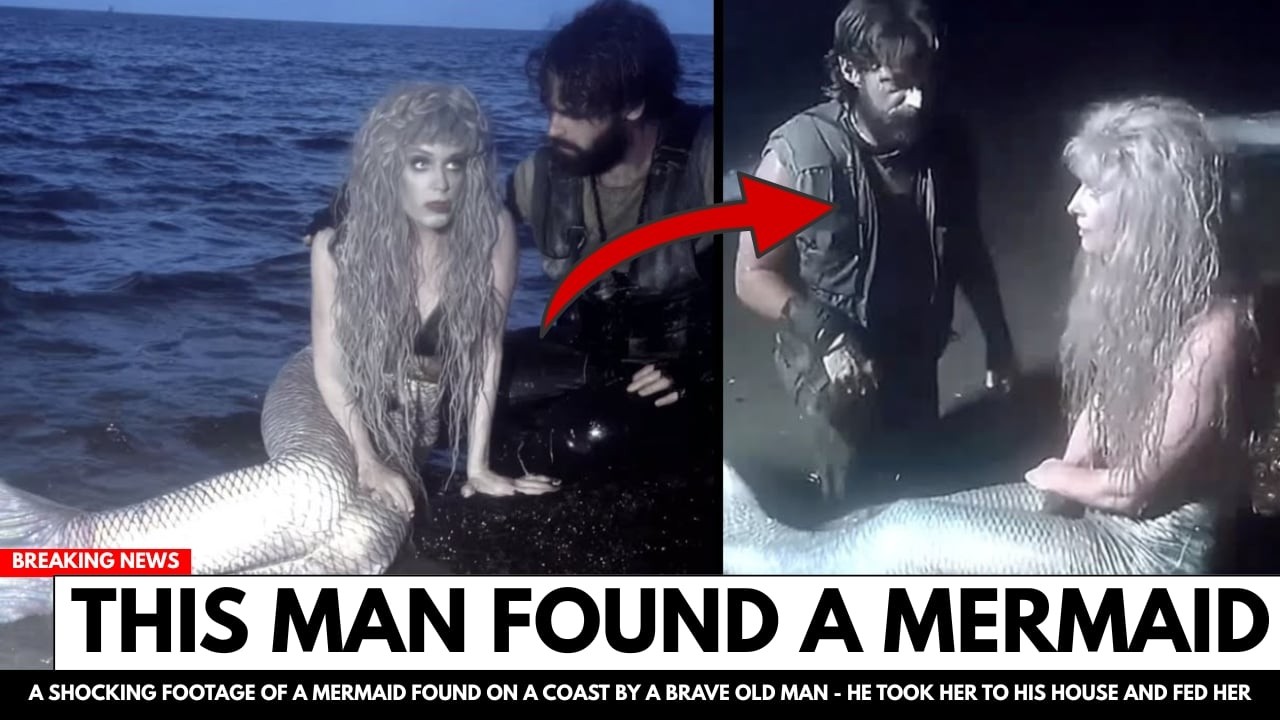 He’s Been Encountering Mermaids Since the 1970s. What They Told Him About Humanity Will Shock You