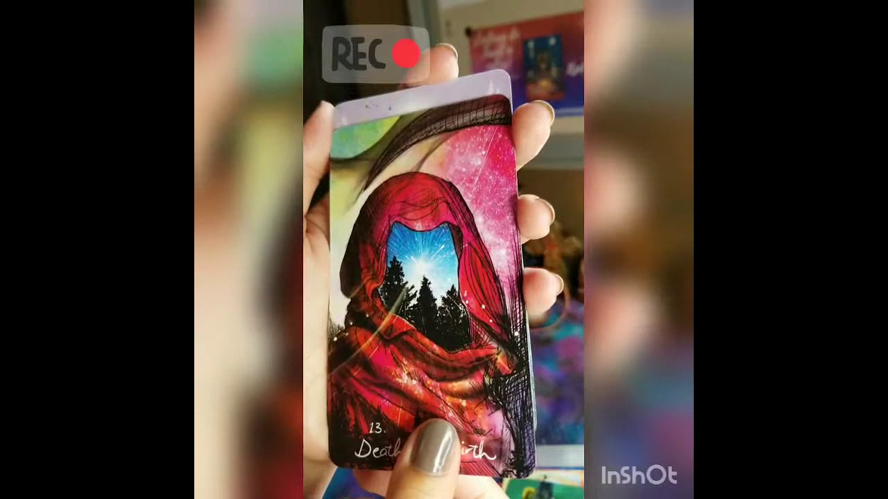 Review the light seer's tarot en espa&ntilde;ol y PDF de regalo (journal pdf)