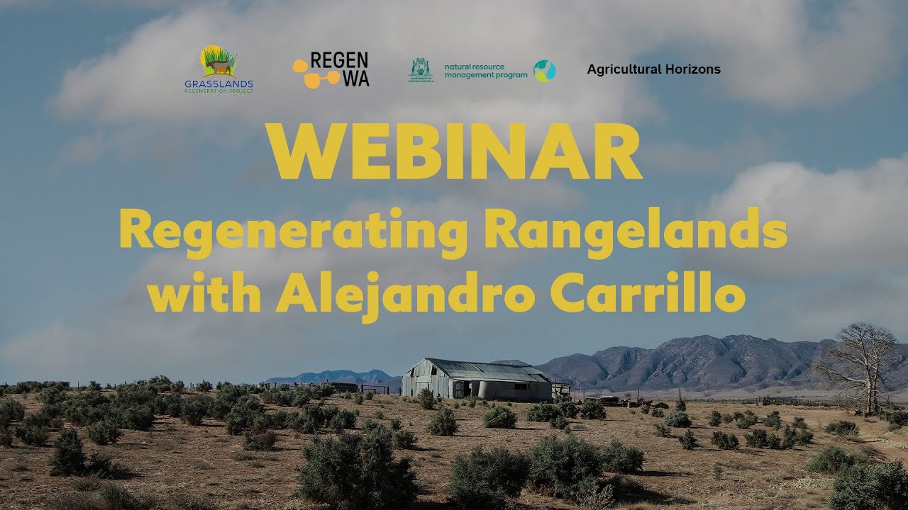 Webinar: Regenerating Rangelands with Alejandro Carrillo
