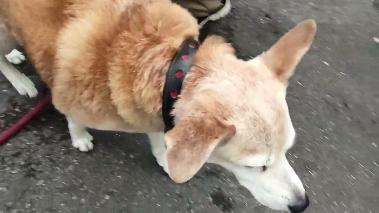 20260207pm three-feet