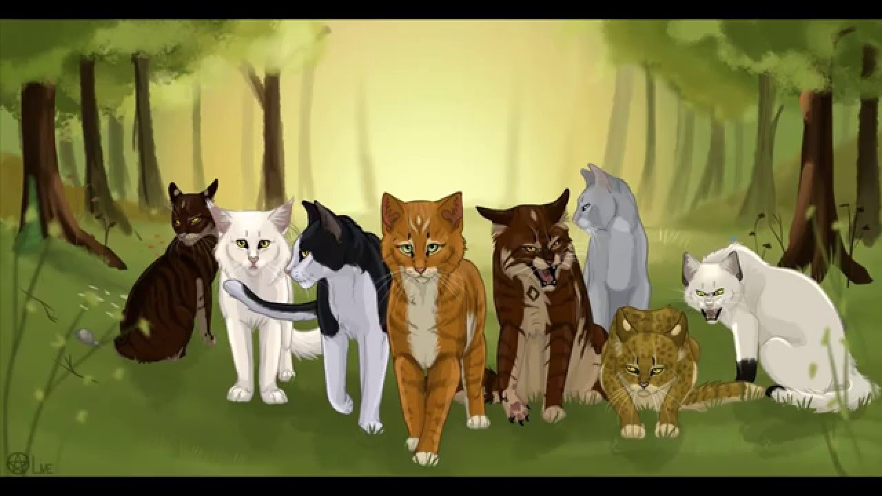 Warriors Cats  speedpaint –