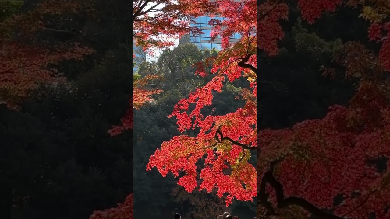 Korakuen # park 