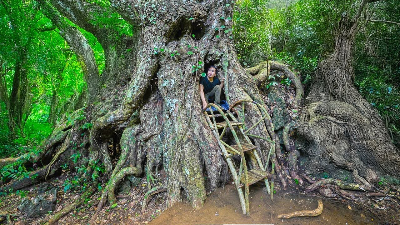 7 Days Building an Emergency Shelter Under a Big Tree - You Can't Believe It! | Ly Hoang Linh