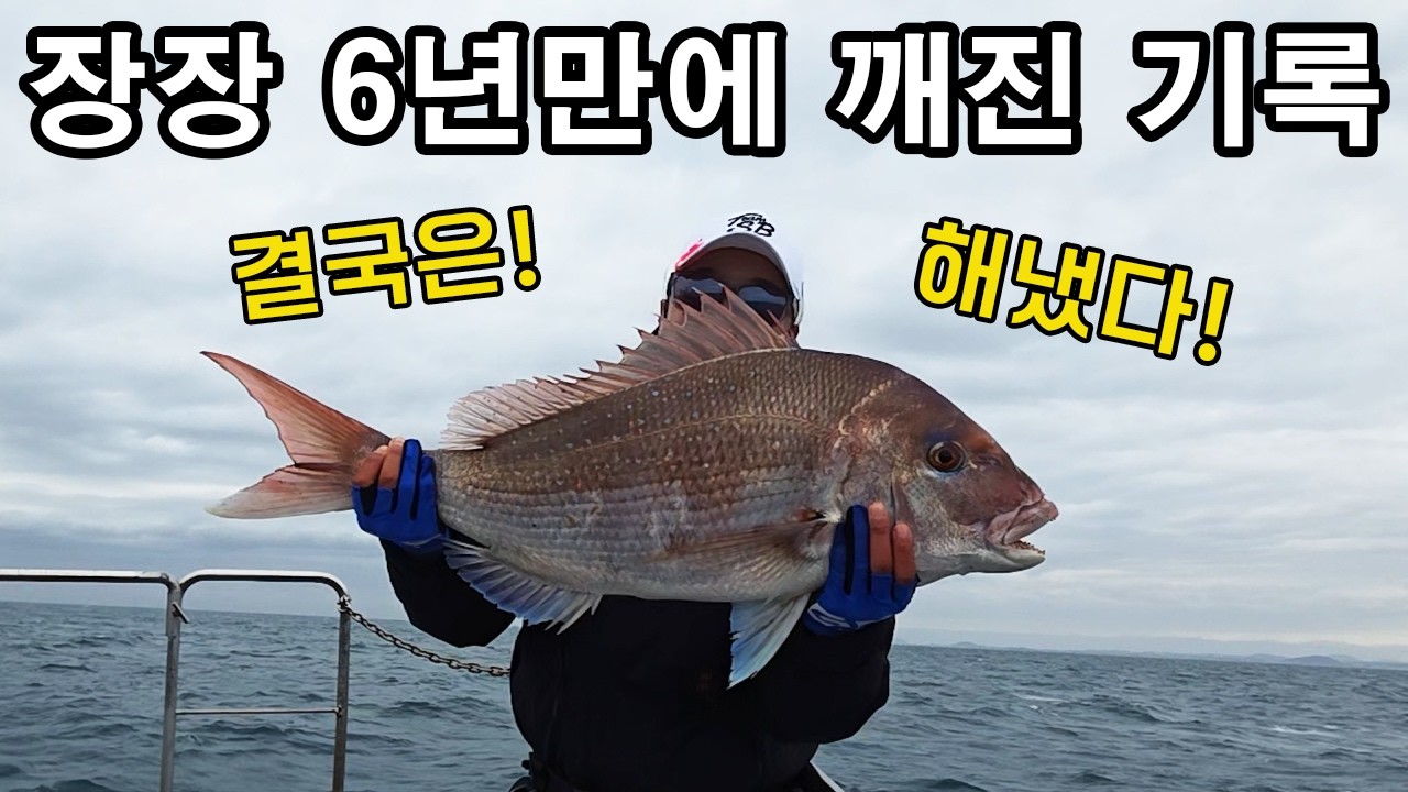 여러분 지금 이곳은 대물 참돔들이 쏟아지고 있습니다!! 당장 가야 돼요!!