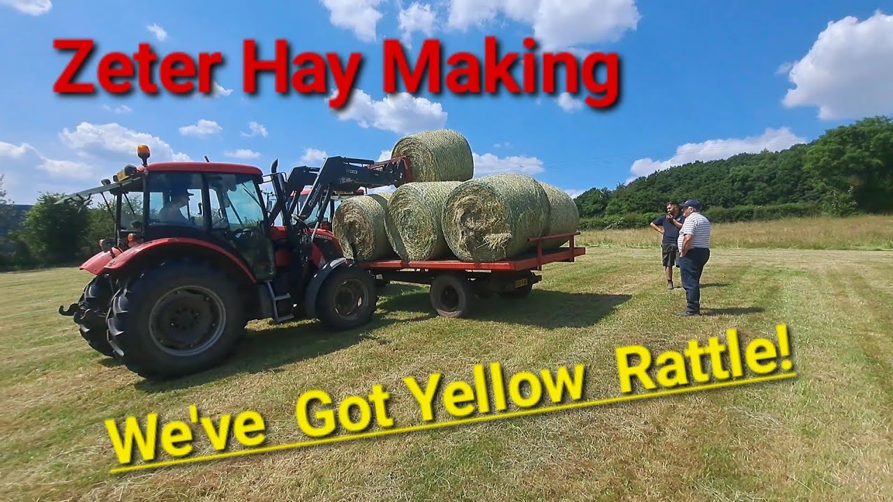 Zeter Hay making & we've got Yellow Rattle!