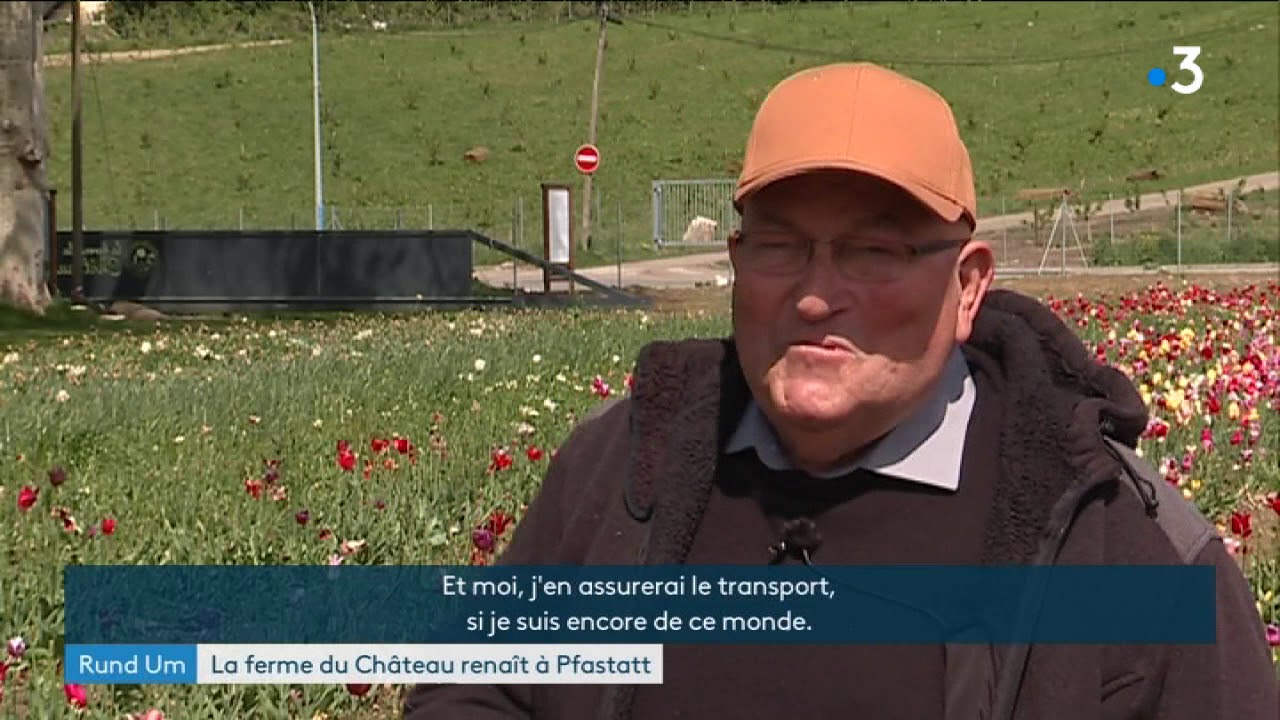 La ferme du château de Pfastatt