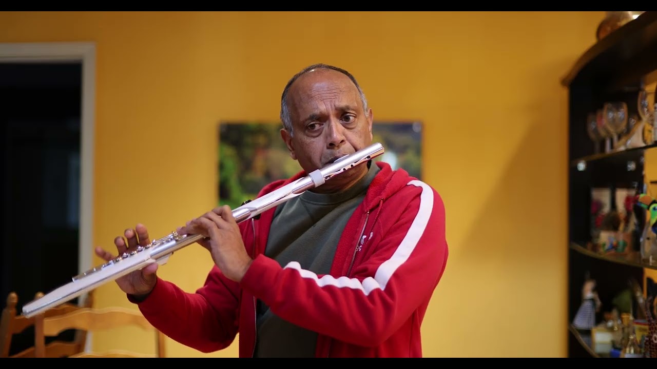 Barfani (Aerophone Brisa Cover, Flute)