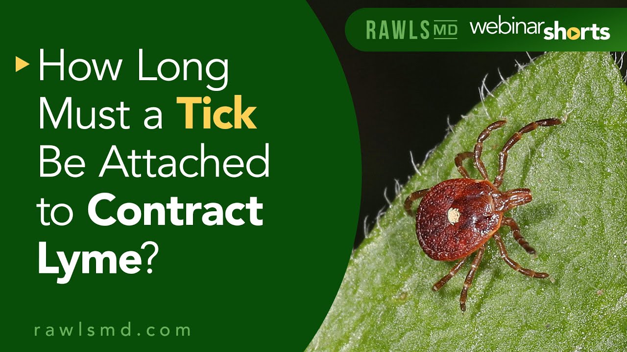 How Long Must a Tick Be Attached to Contract Lyme? | Rawls MD Webinar Short