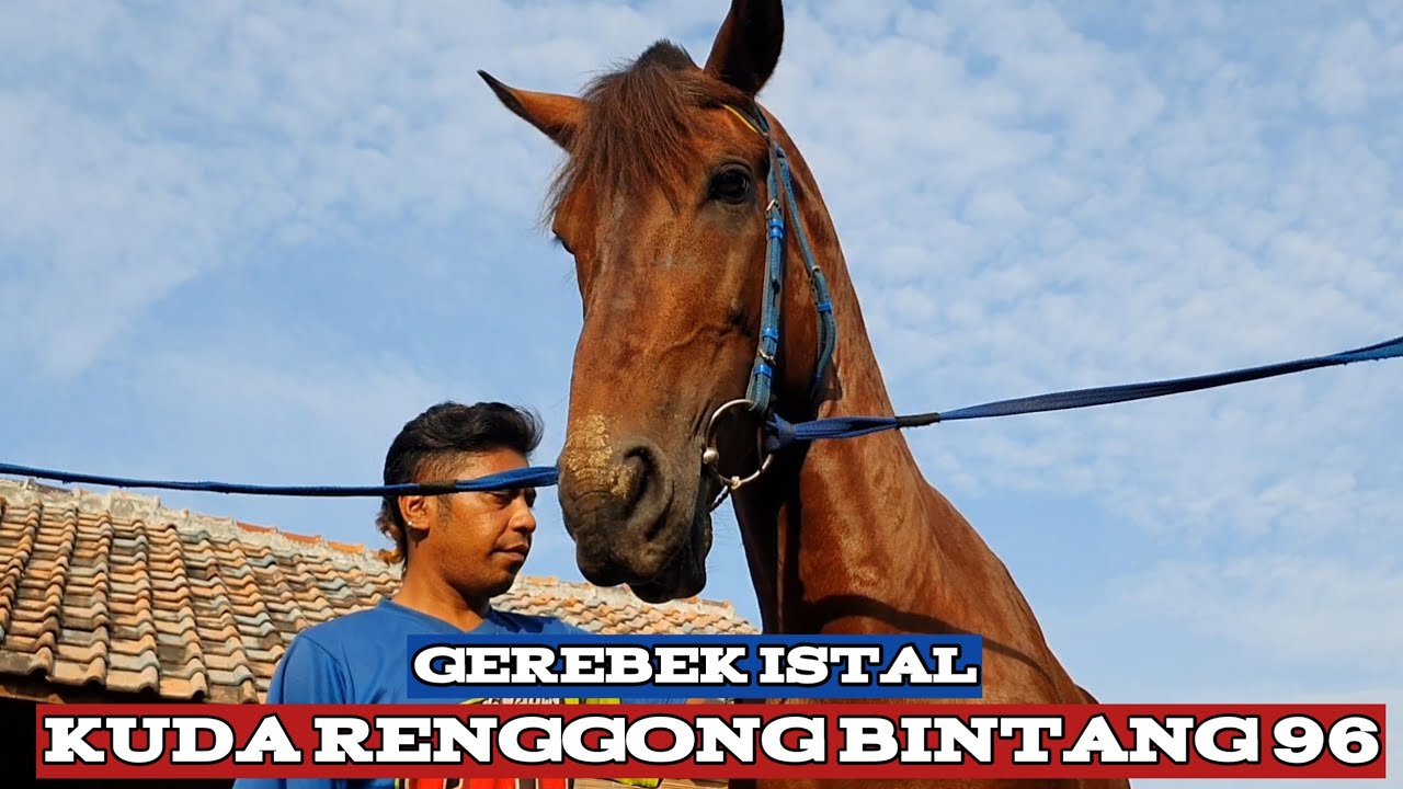 Kuda renggong bintang 96
