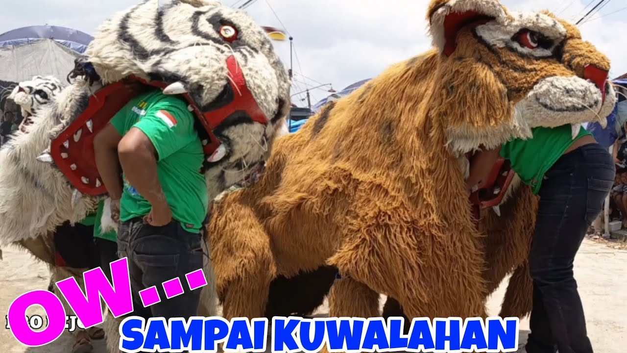 BARONGAN MACANAN NEW PANDAWA LIVE BOGOSARI 
