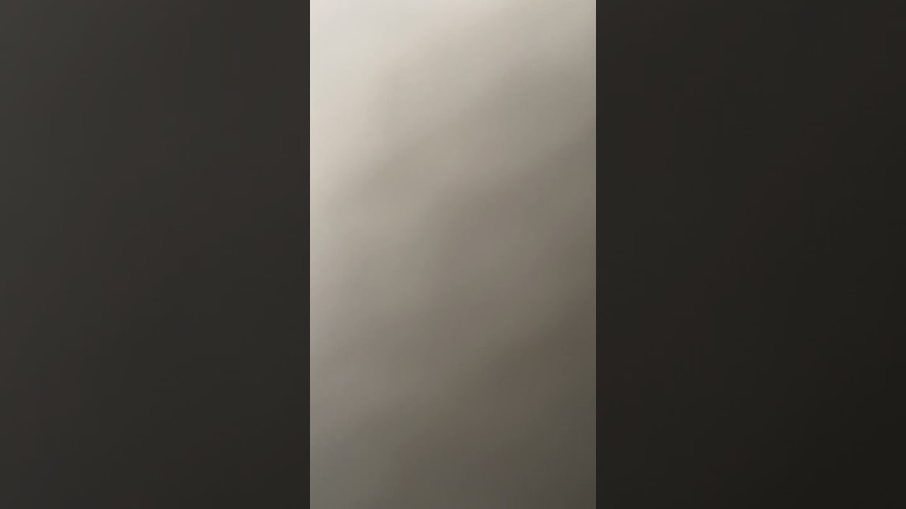 الحمام الباكستاني الأستاذية في قراءة الطير🔥