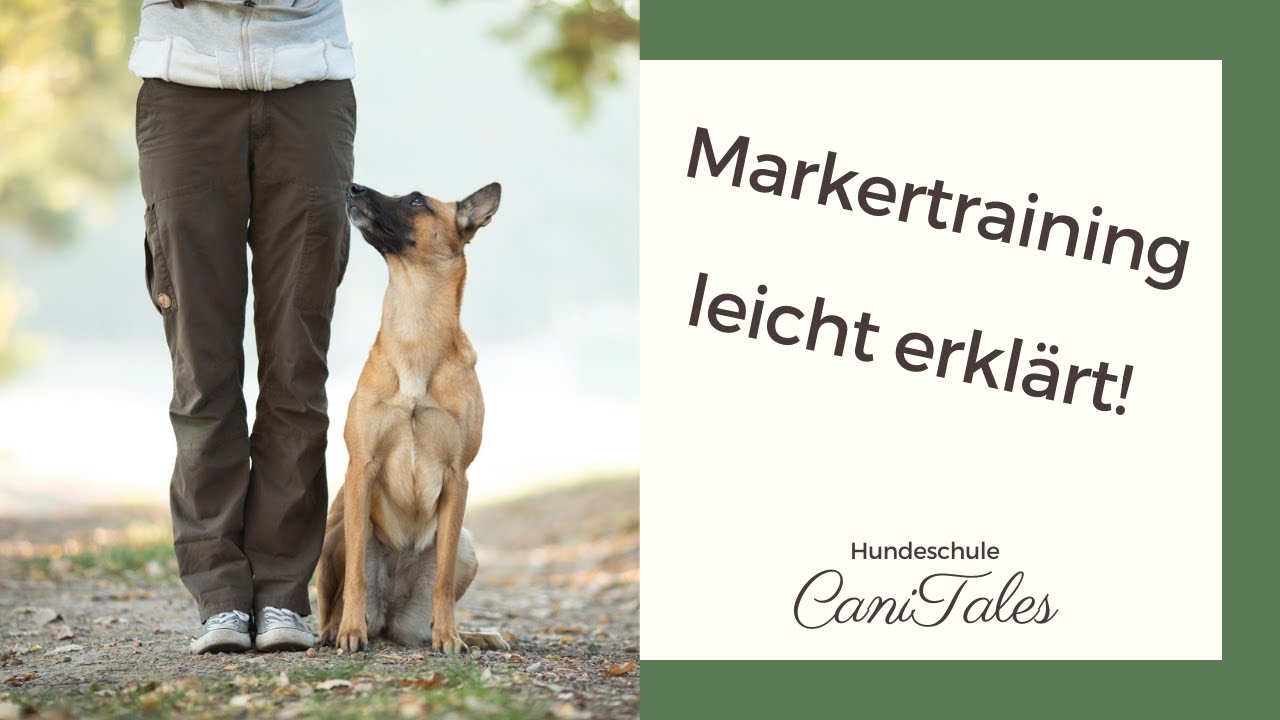 Wie funktioniert Markertraining?