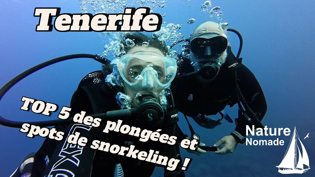 TOP 5 des Plongées et Spots de snorkeling à Tenerife