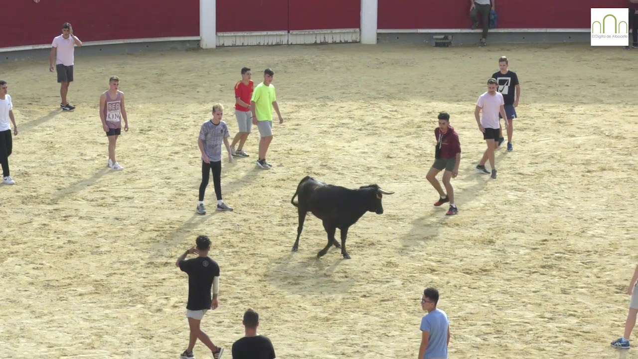 Vaquillas en la Feria Albacete, 14 septiembre 2018