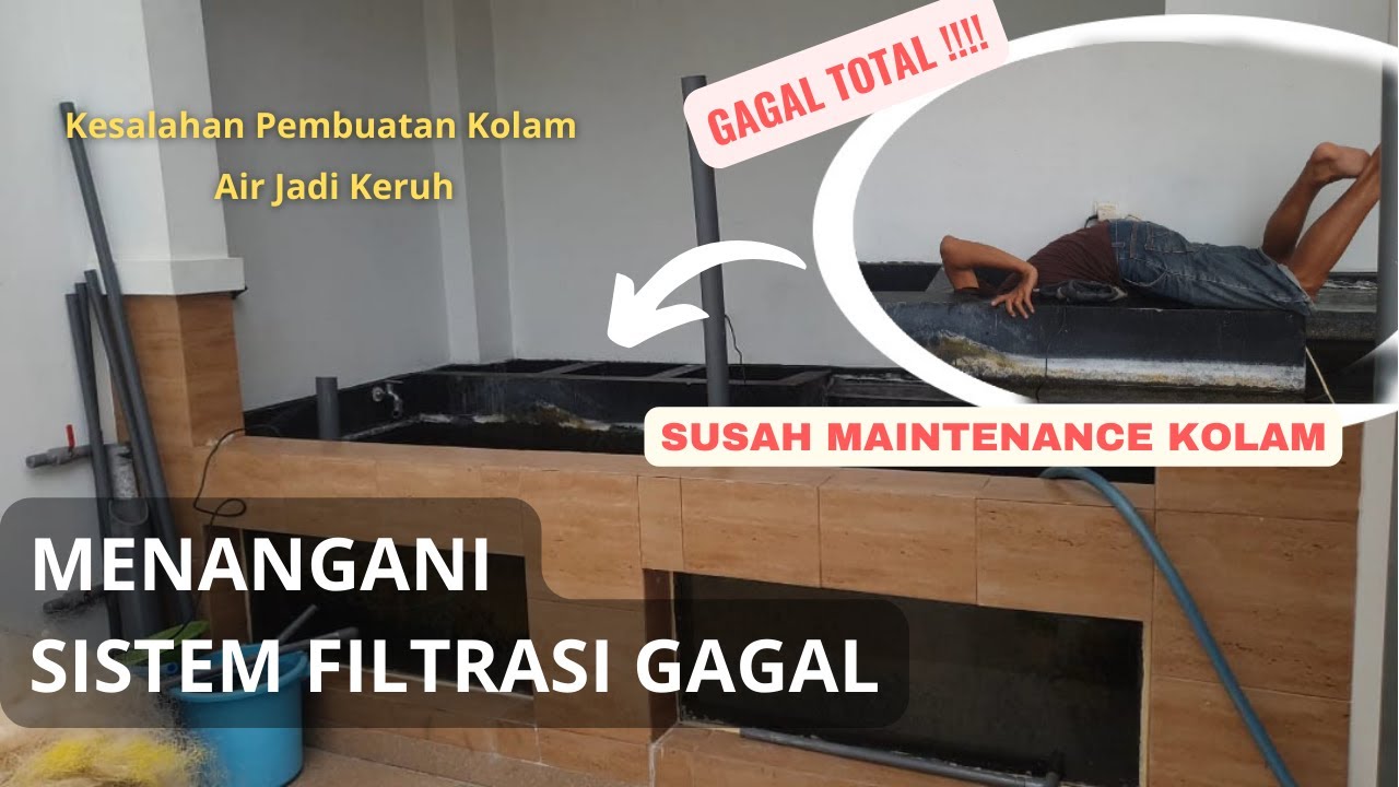 GAGAL TOTAL!!! SISTEM FILTRASI TIDAK BERFUNGSI | Kesalahan Pembuatan Kolam Koi | Kolam Filter Tong