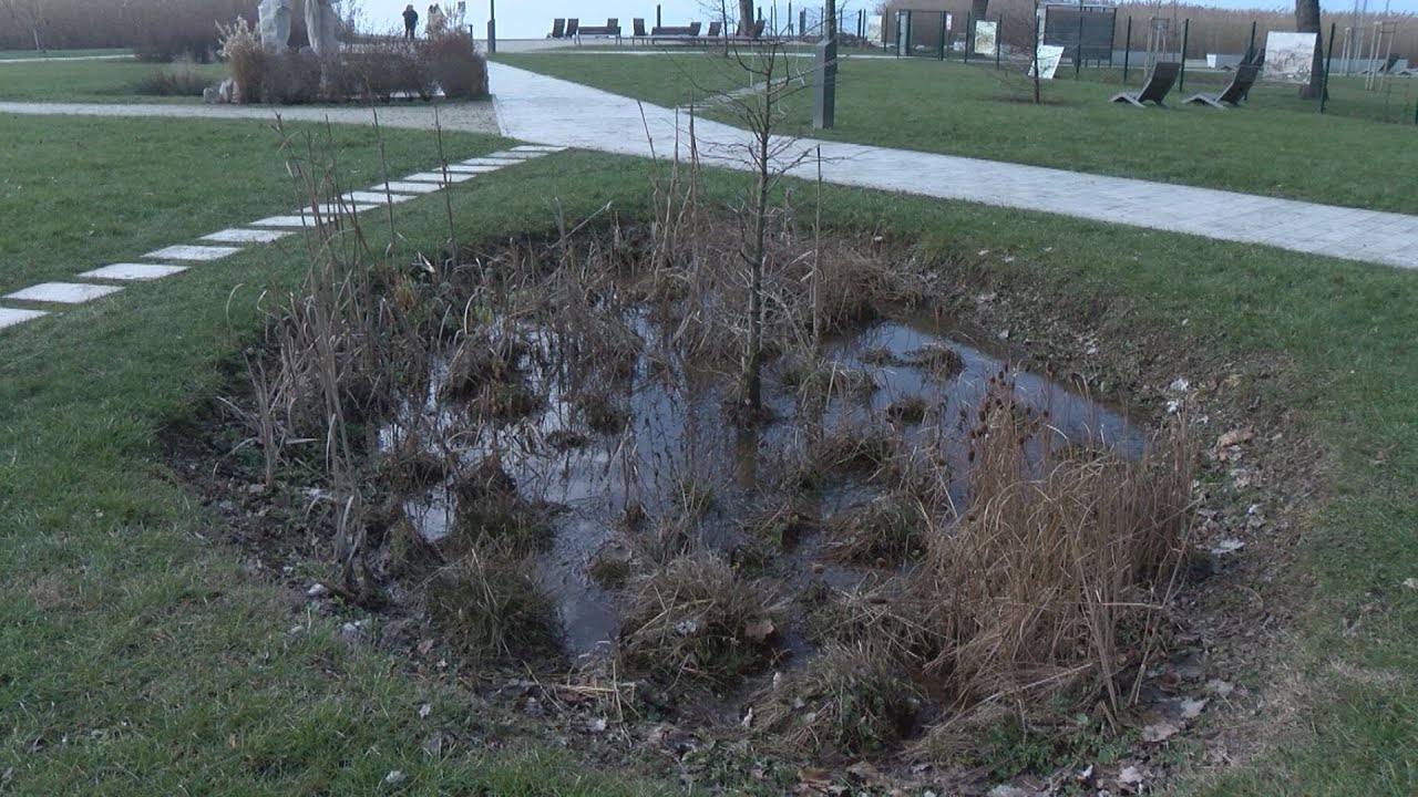 Vizes élőhelyek nélkül nincs élet