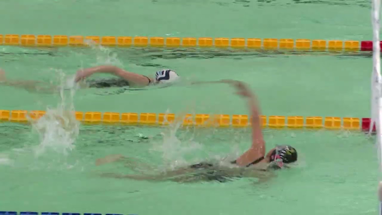 Novo mesto Cup 2026 v plavanju