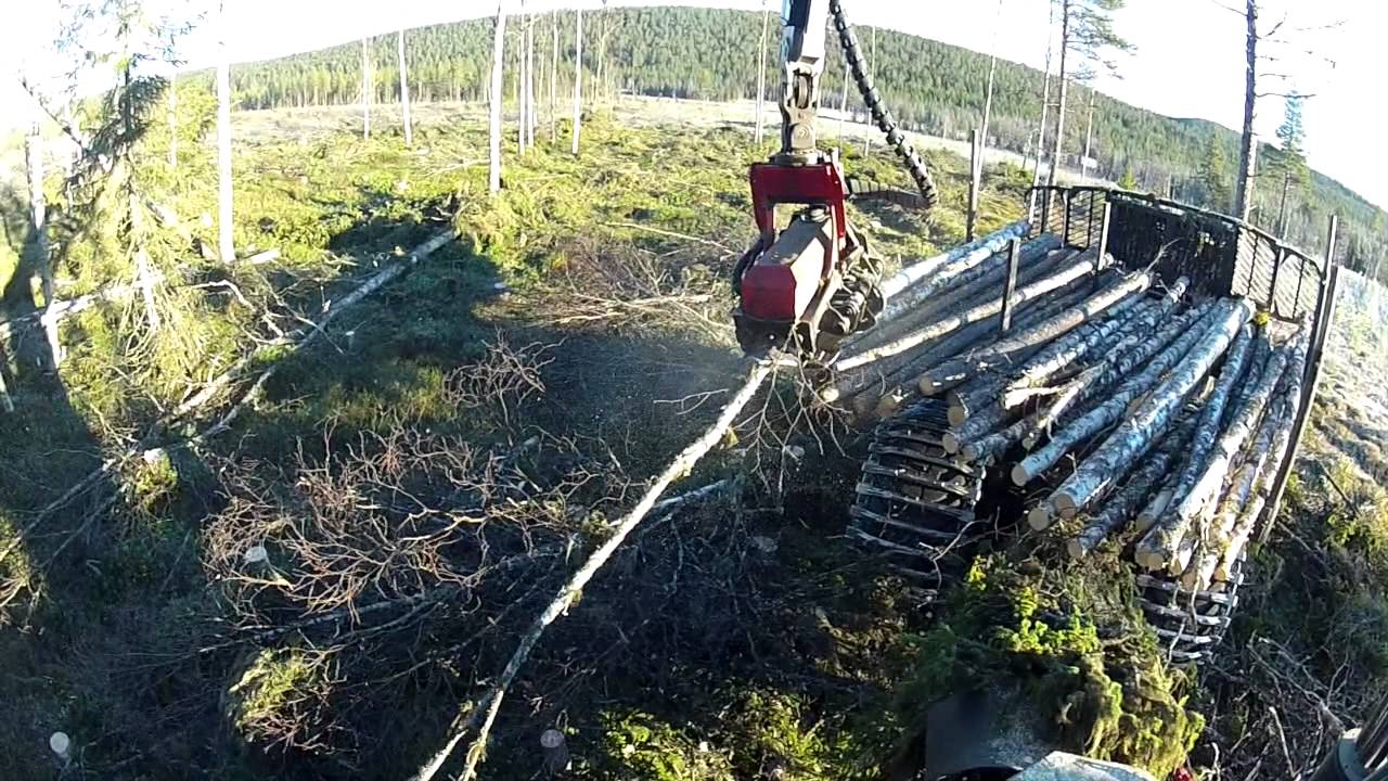 Forest harvesting with Komatsu X19 prototype