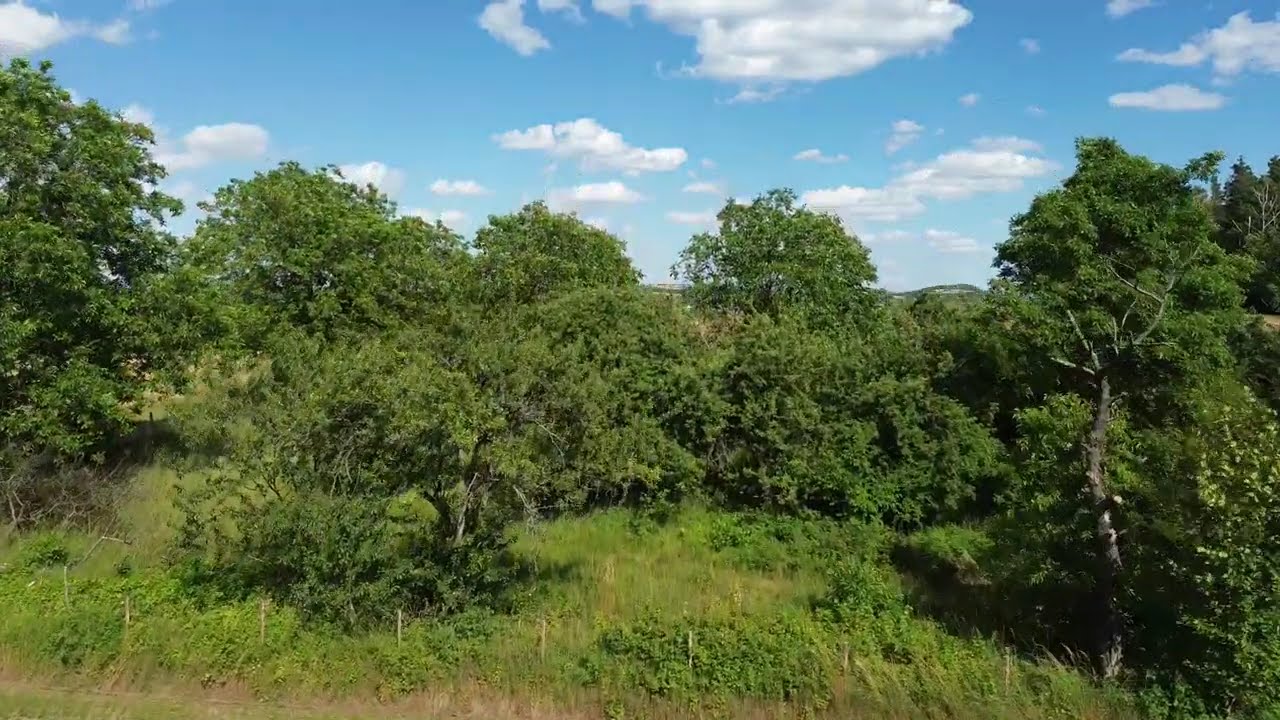 Aerial Views of Freital, Germany | Drone Tour of Scenic Fields and Forests