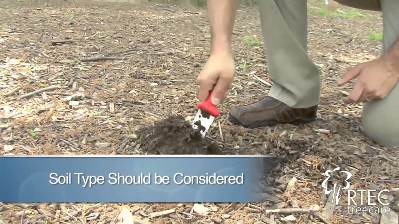 Trees and lightning, What You Should Know™