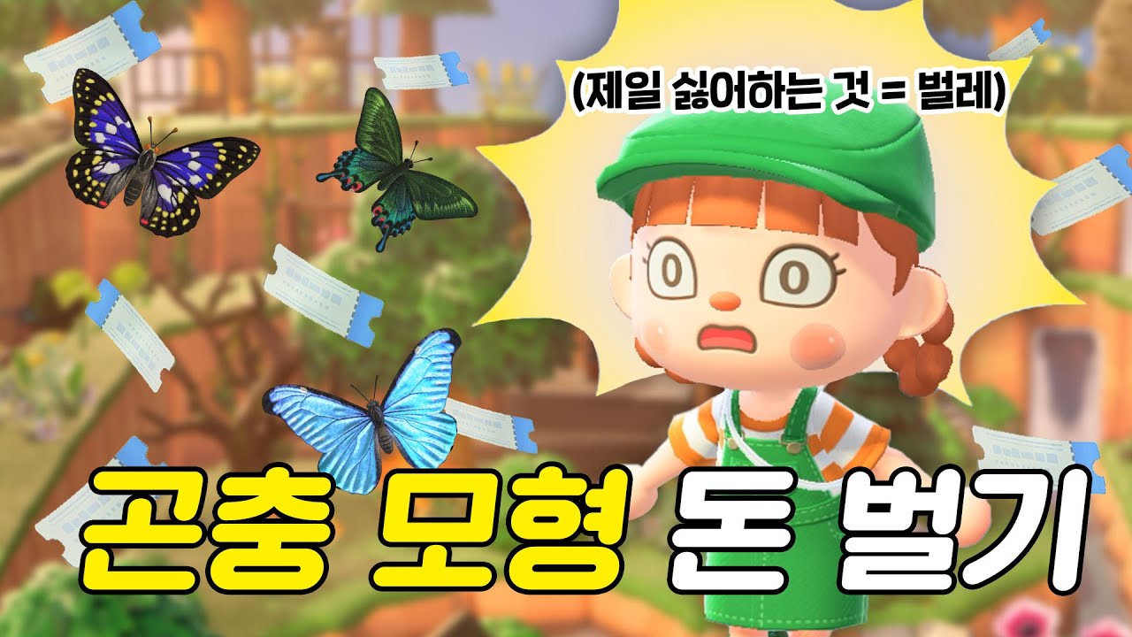 나비야 나비야 이리 날아오너라 🦋 몰포나비, 제비나비, 왕오색나비만 오너라