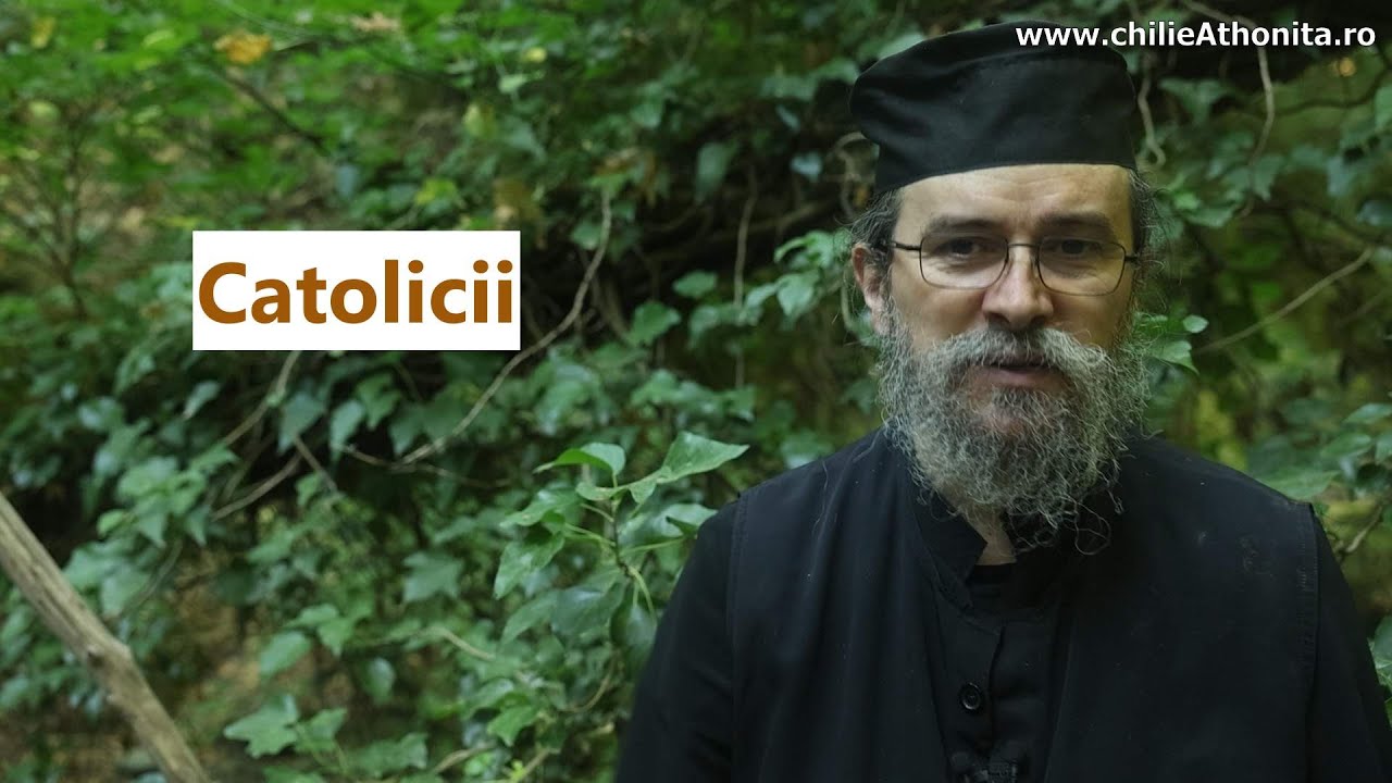 Catolicii - p. Teologos
