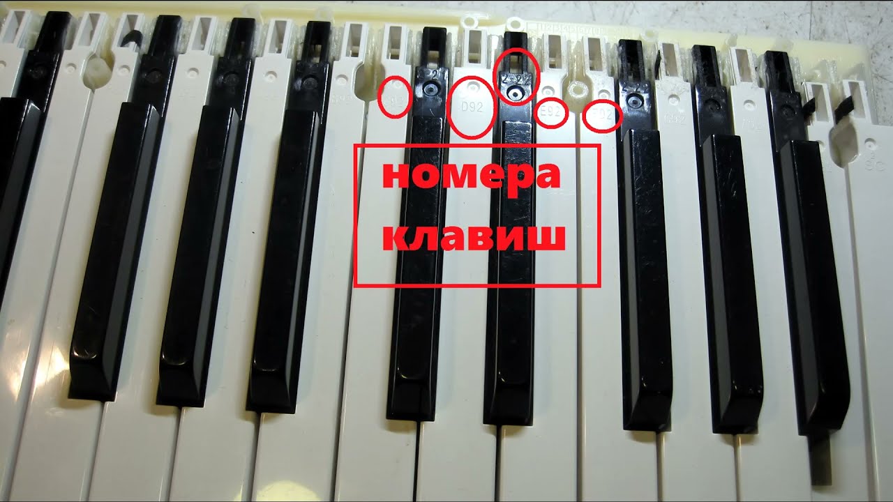 CASIO PRIVIA PX-330  repair