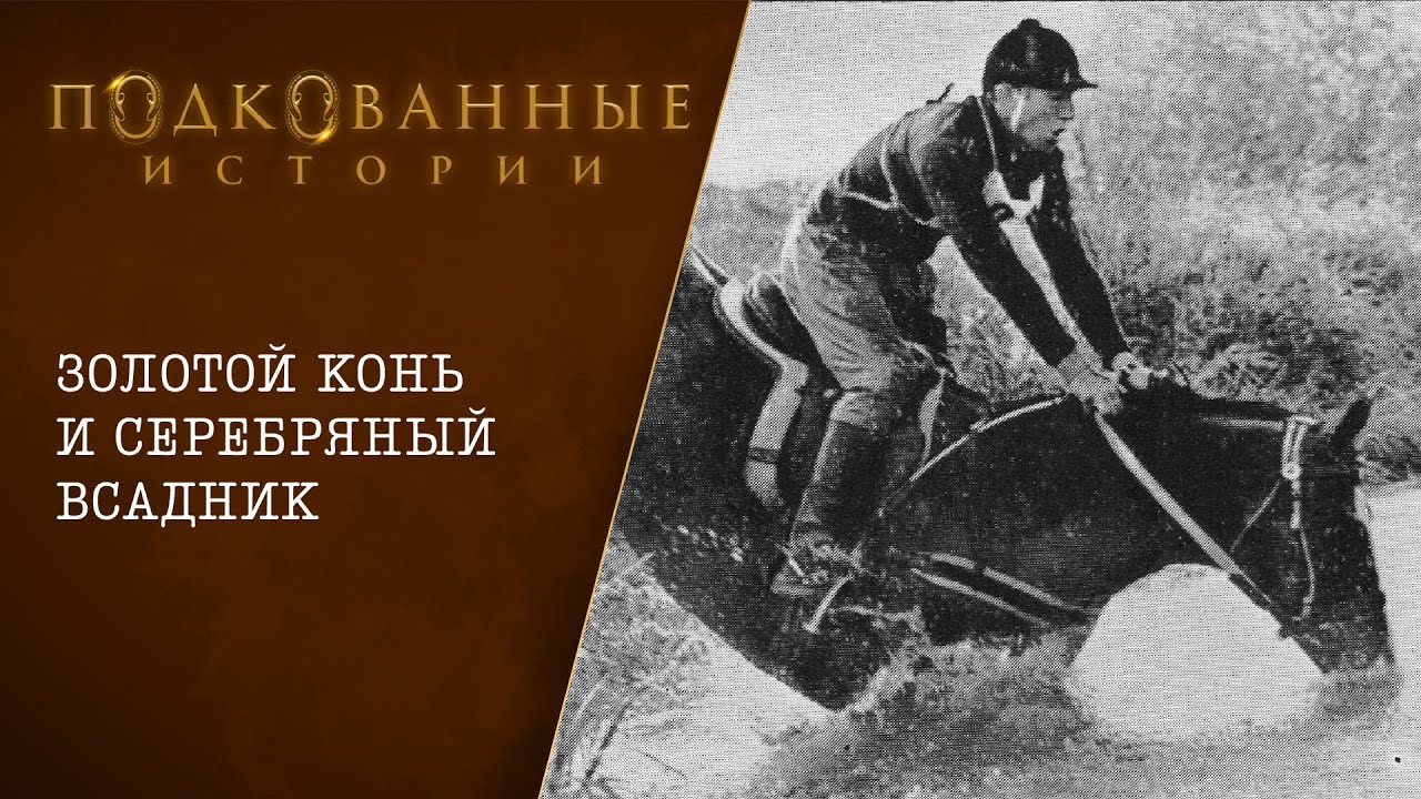 Подкованные истории: Золотой конь и серебряный всадник