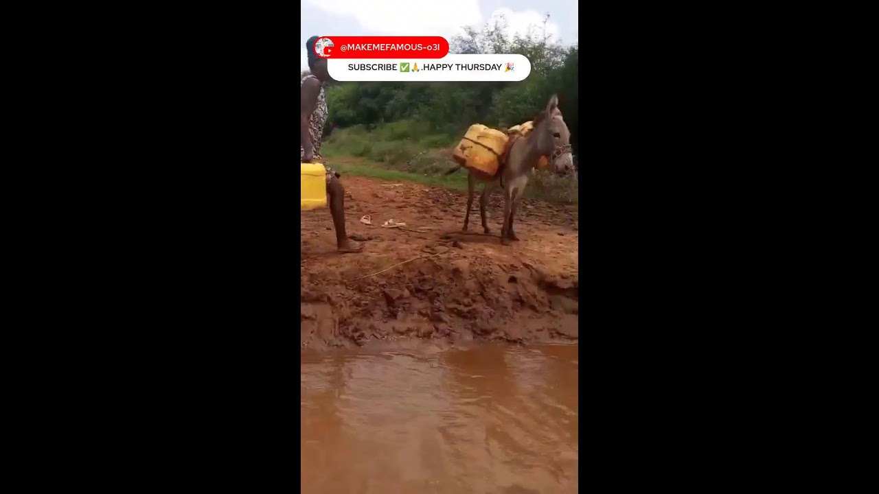 DOMESTIC WATER COLLECTION IN THE VILLAGE(CRAZY)