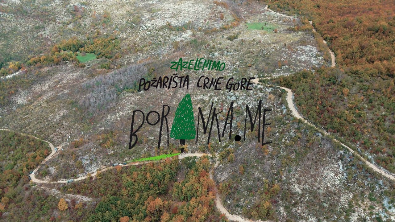 Boranka u Crnoj Gori 2024 - prva sezona