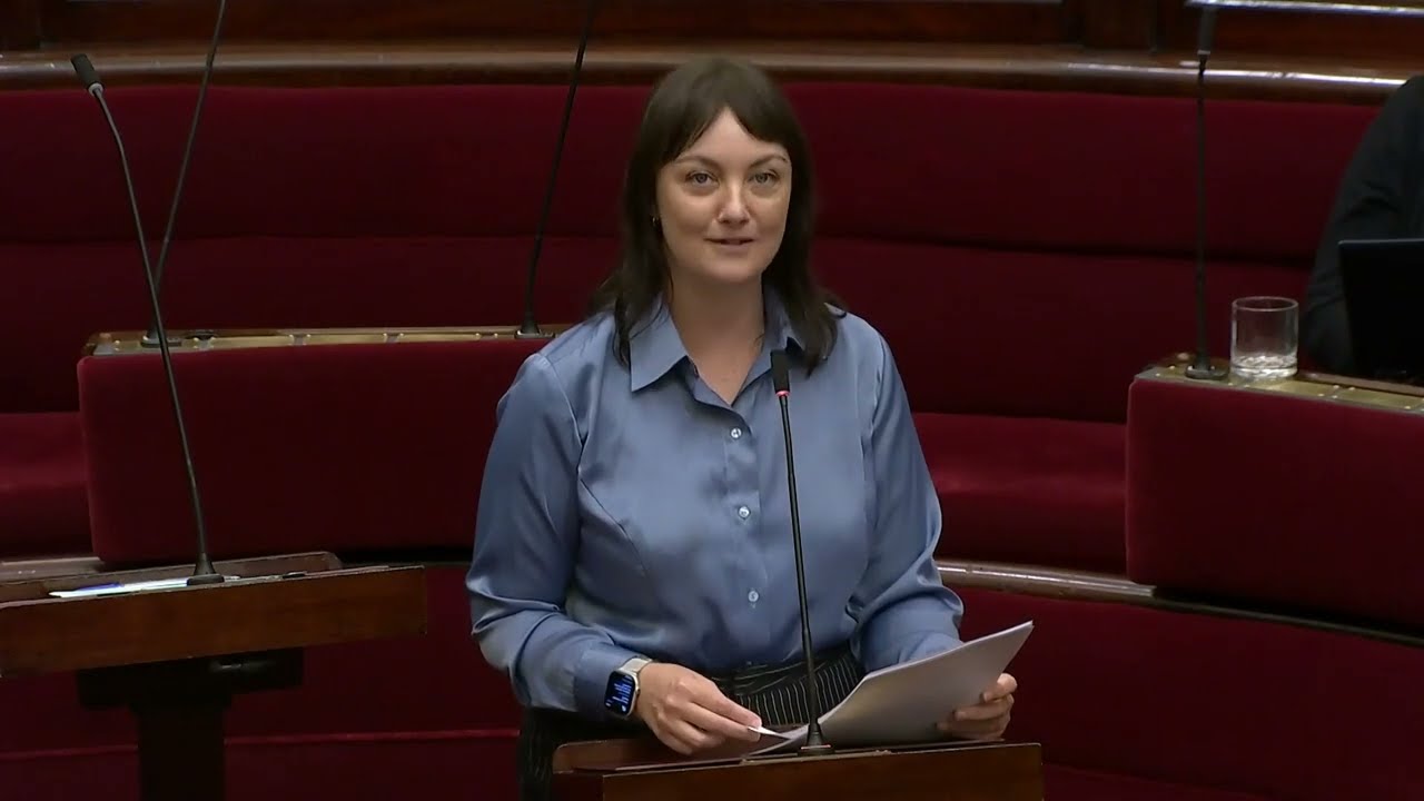 ✊ Crimes Amendment Bill 2026 enhances police powers to prosecute protestors | Rachel Payne MP