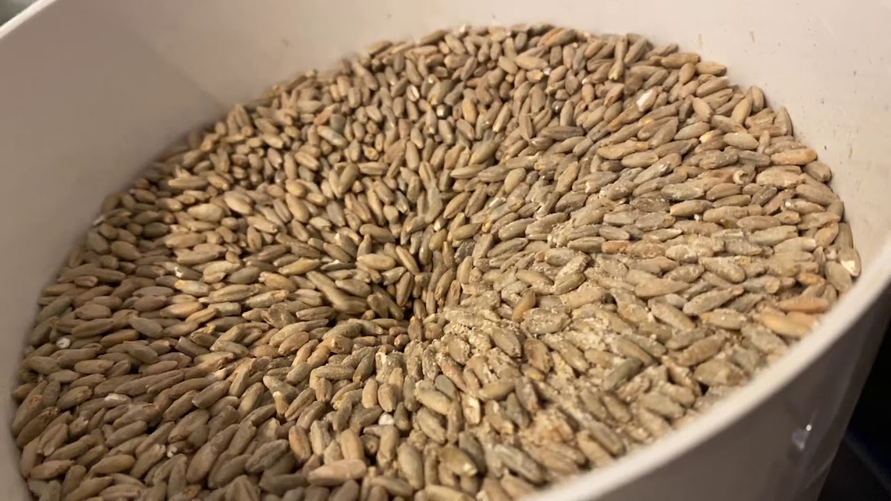 Making Rye Flour &mdash; Using the Ankarsrum Grain Mill