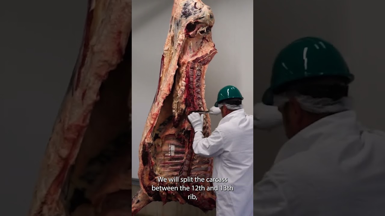 Ever wonder how beef is graded?