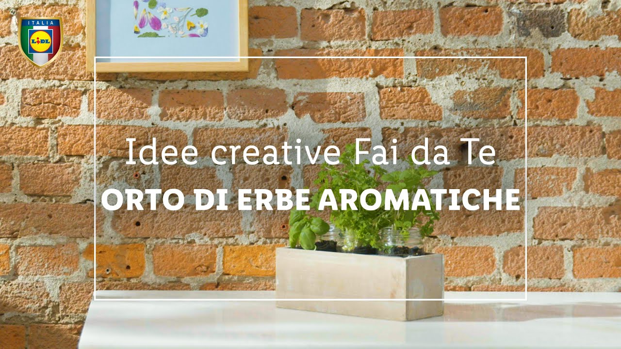 Come creare un mini orto di erbe aromatiche | Idee creative fai da te | LIDL Italia