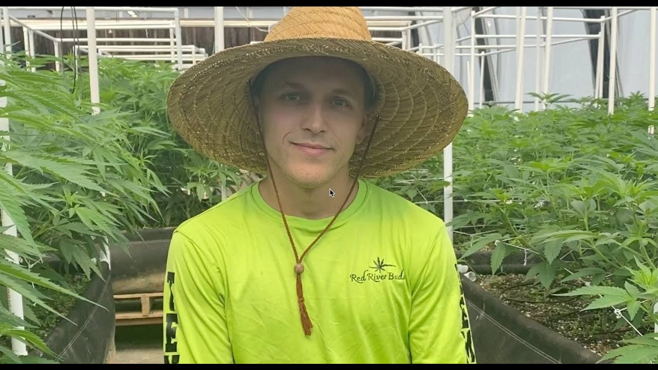 Outdoor & Indoor Cannabis Grower in Southern Oklahoma Wins with MyHarvestGold!