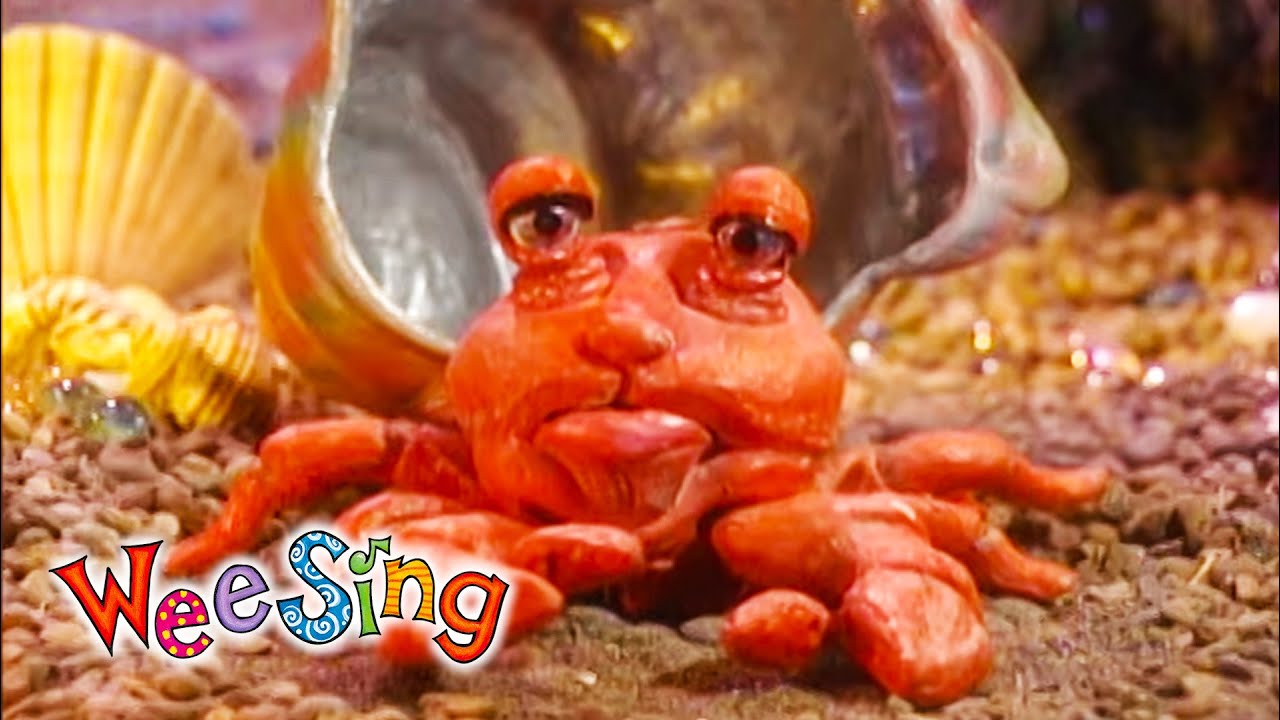I'm a Hermit Crab | Wee Sing
