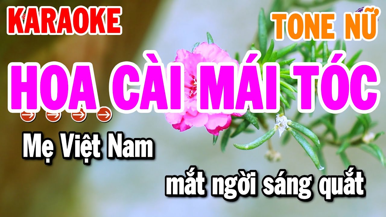 Hoa Cài Mái Tóc Karaoke Tone Nữ ( Dm ) Nhạc Sống Cha Cha Hay 2026 | Thanh Hải Organ