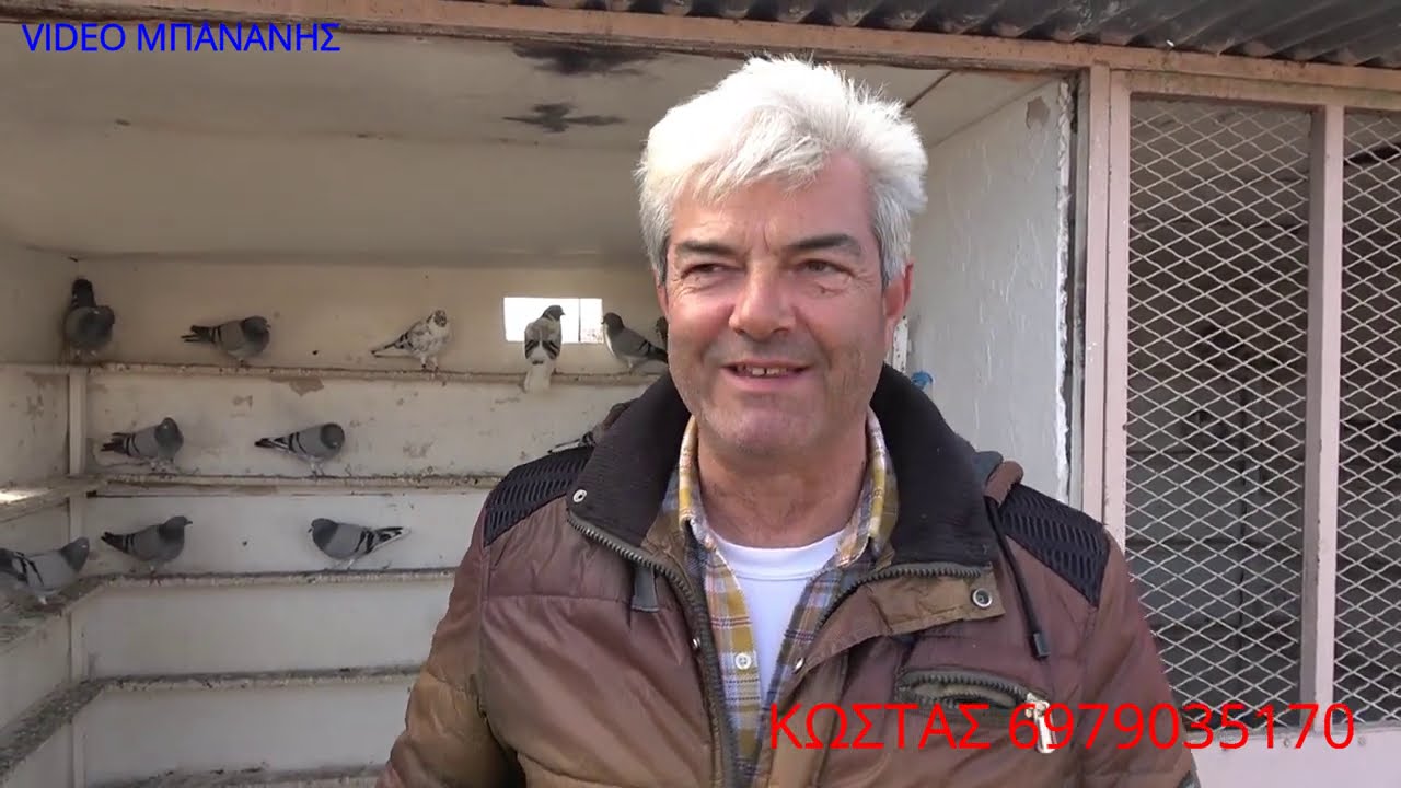 ΚΩΣΤΑΣ ΑΛΕΞΑΝΔΡΕΙΑ ΟΡΘΙΕΣ ΠΕΤΑΛΟΥΔΕΣ