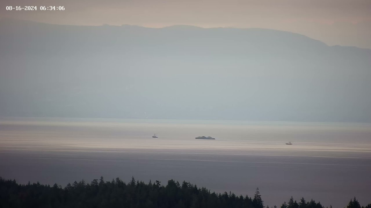 Aug 16, 2024: Humpback Whale Breach in the Georgia, Strait BC