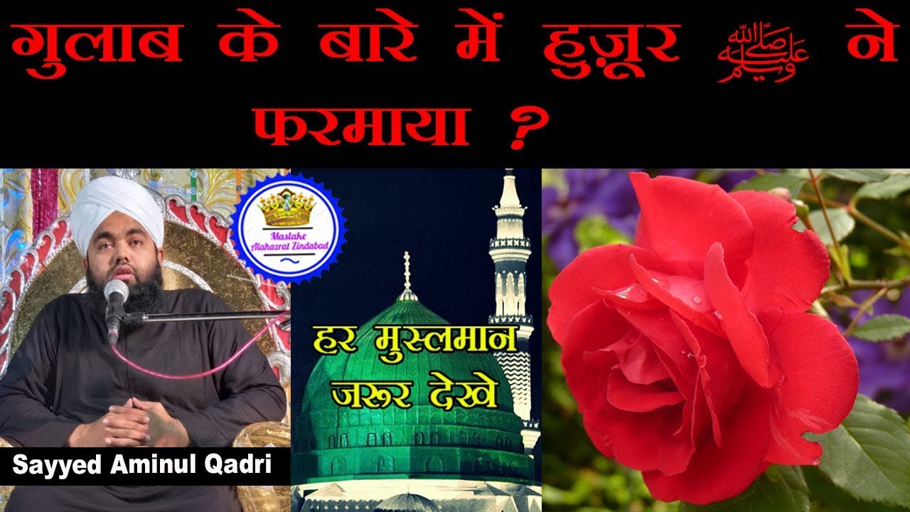 Gulab (Rose) Ke Bare Mein Huzur ﷺ Ne Farmaya | Sayyed Aminul Qadri