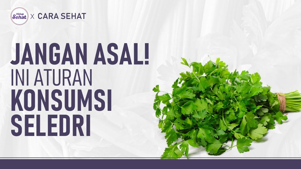 Aturan Konsumsi Seledri Untuk Kesehatan  | Hidup Sehat tvOne