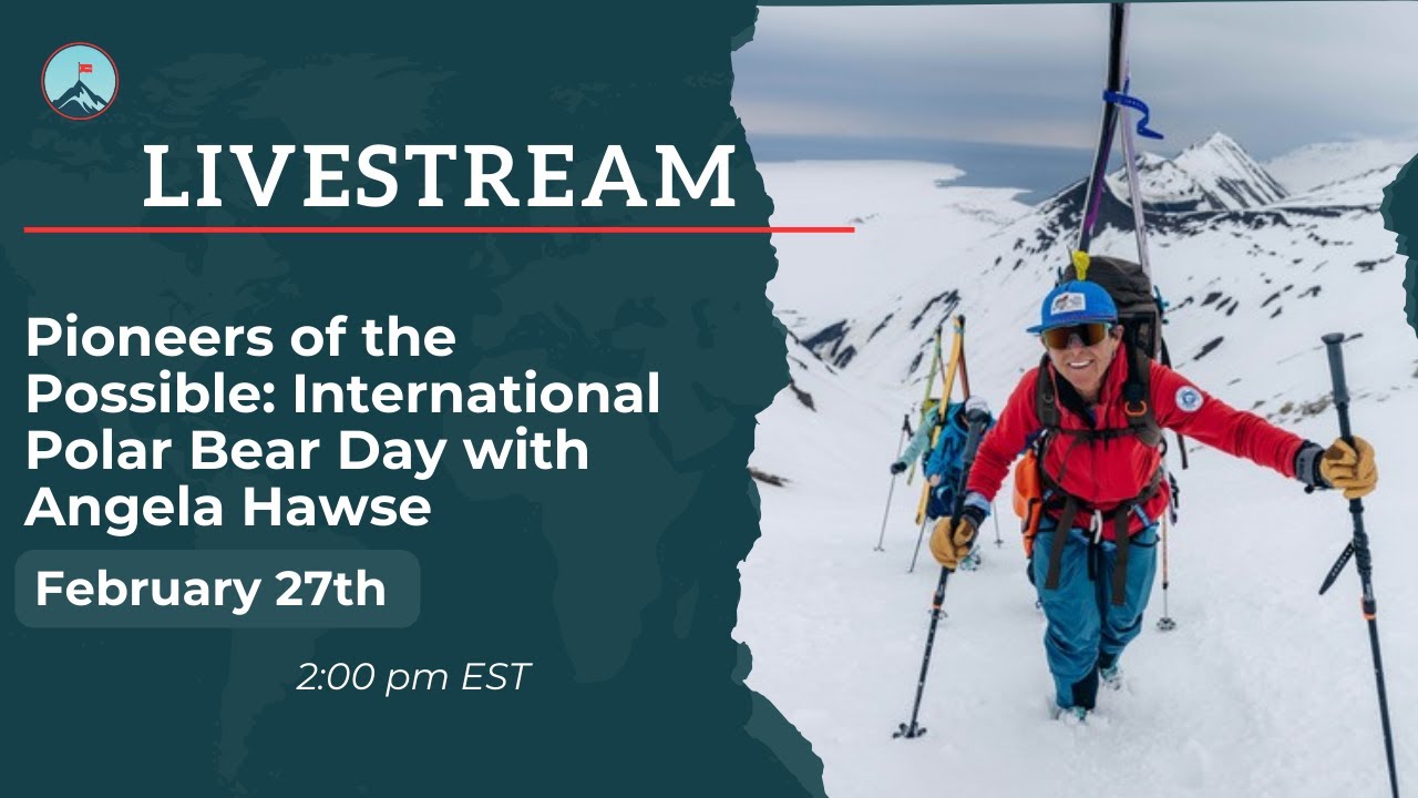 Pioneers of the Possible: International Polar Bear Day with Angela Hawse