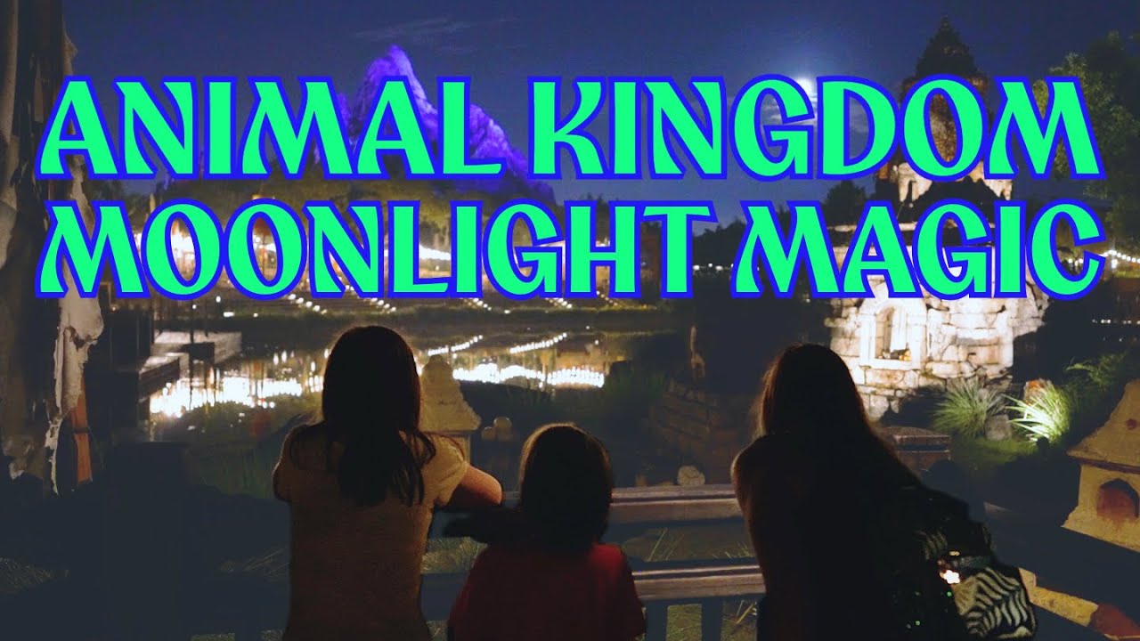 Animal Kingdom Moonlight Magic